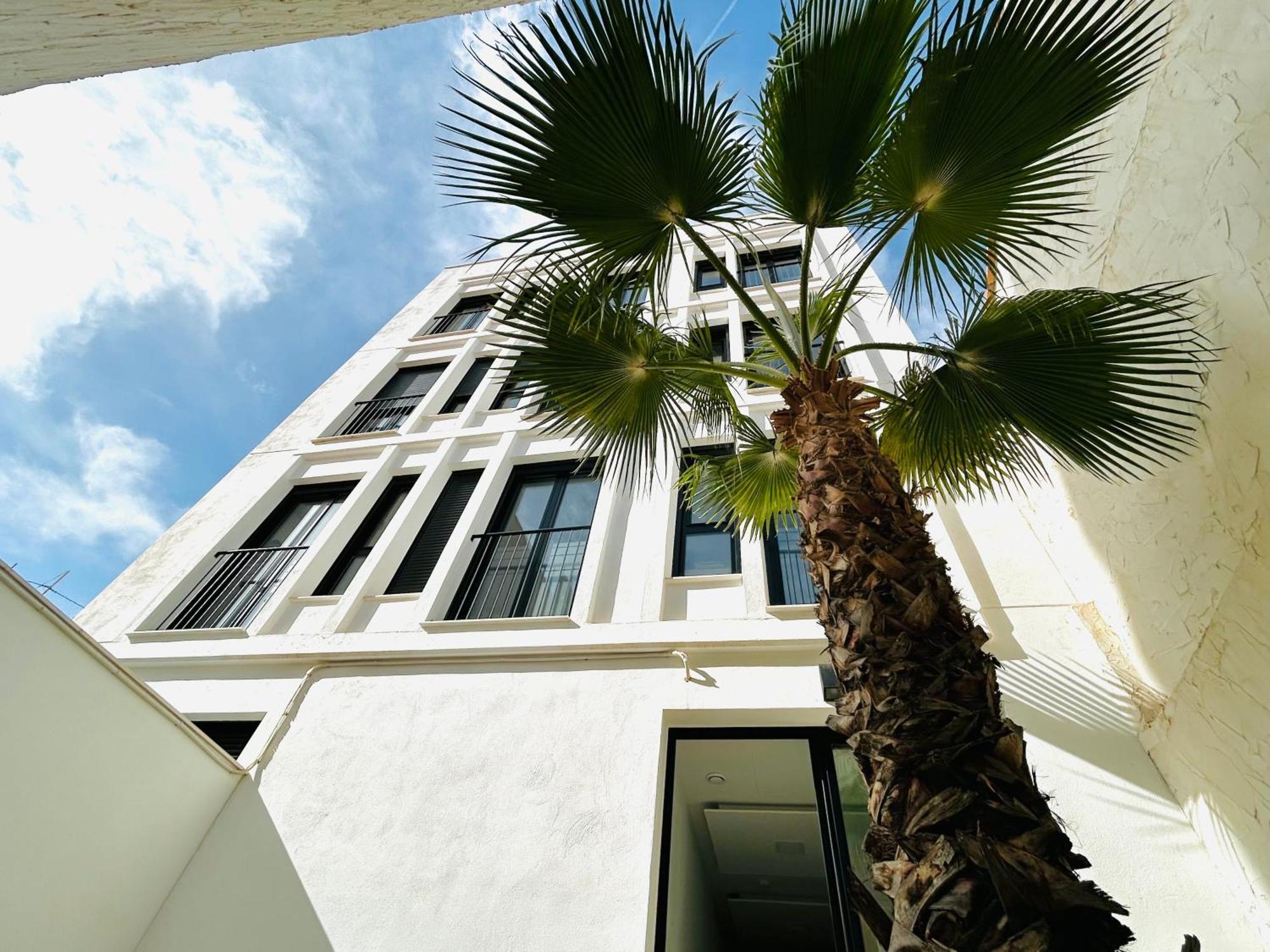 Studio Palomar - Palomargroup Alfara Del Patriarca Dış mekan fotoğraf