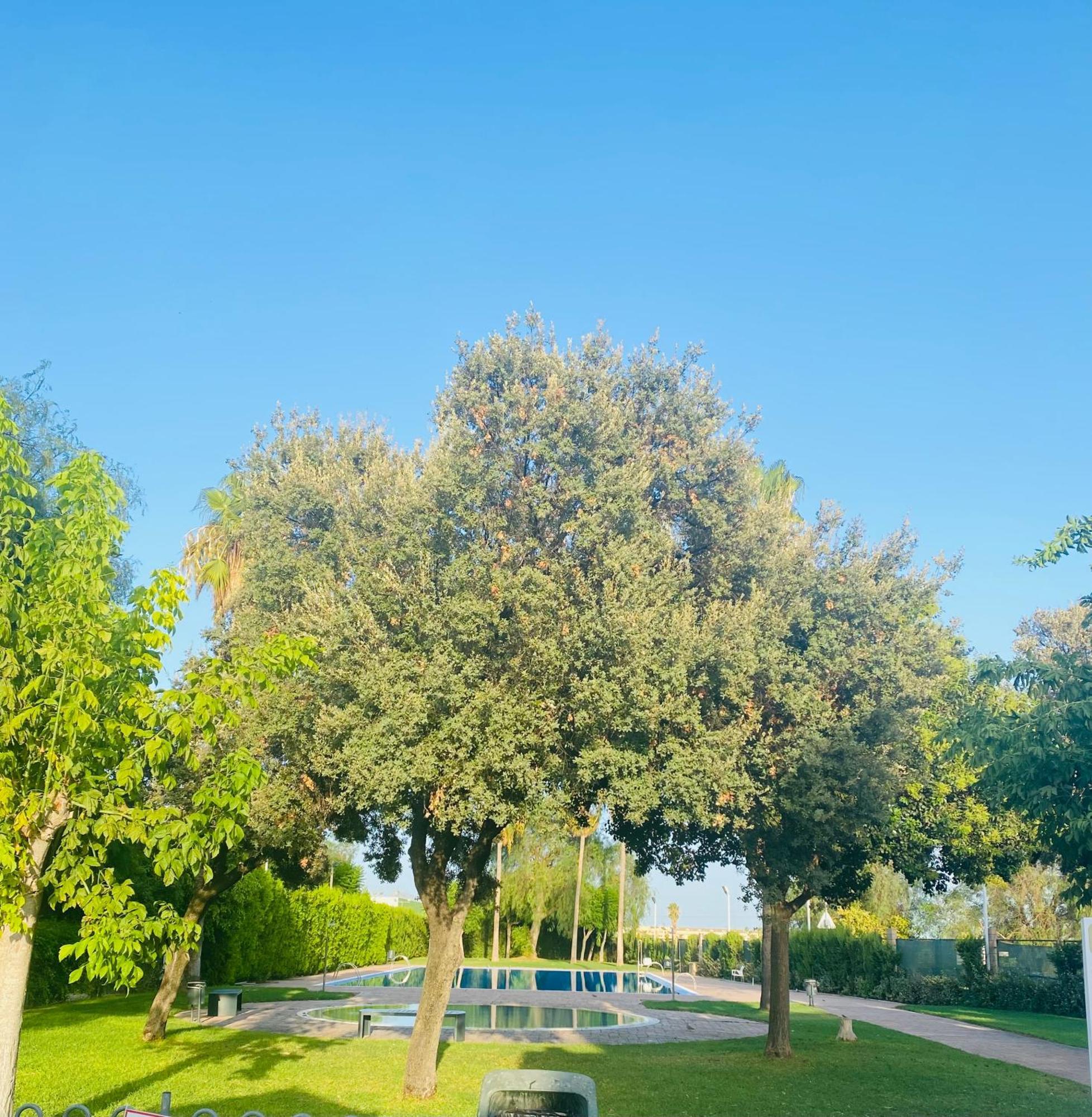 Studio Palomar - Palomargroup Alfara Del Patriarca Dış mekan fotoğraf